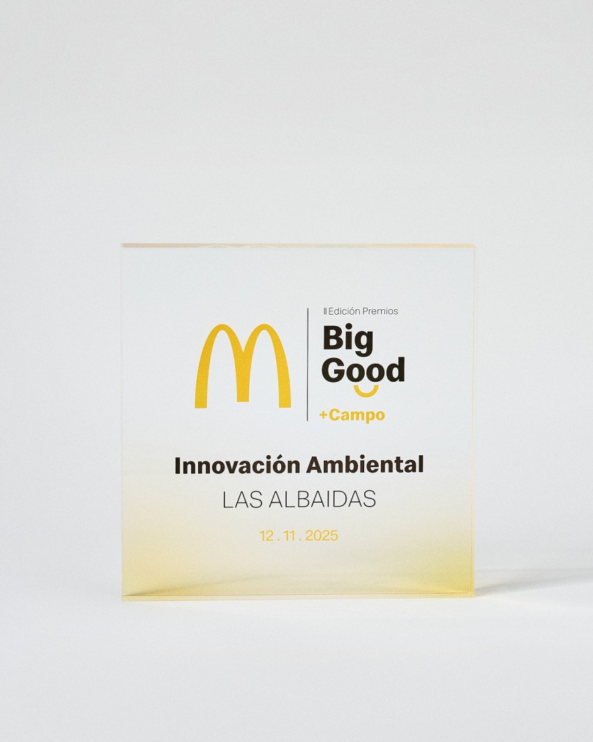 Gepersonaliseerde acryl trofee in VITRA MAXI Plaquette-formaat Sustain Awards